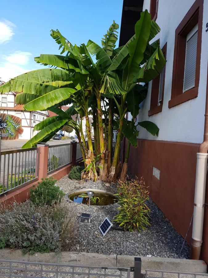 Marielies-Urlaubsstube Apartment Meissenheim Exterior photo